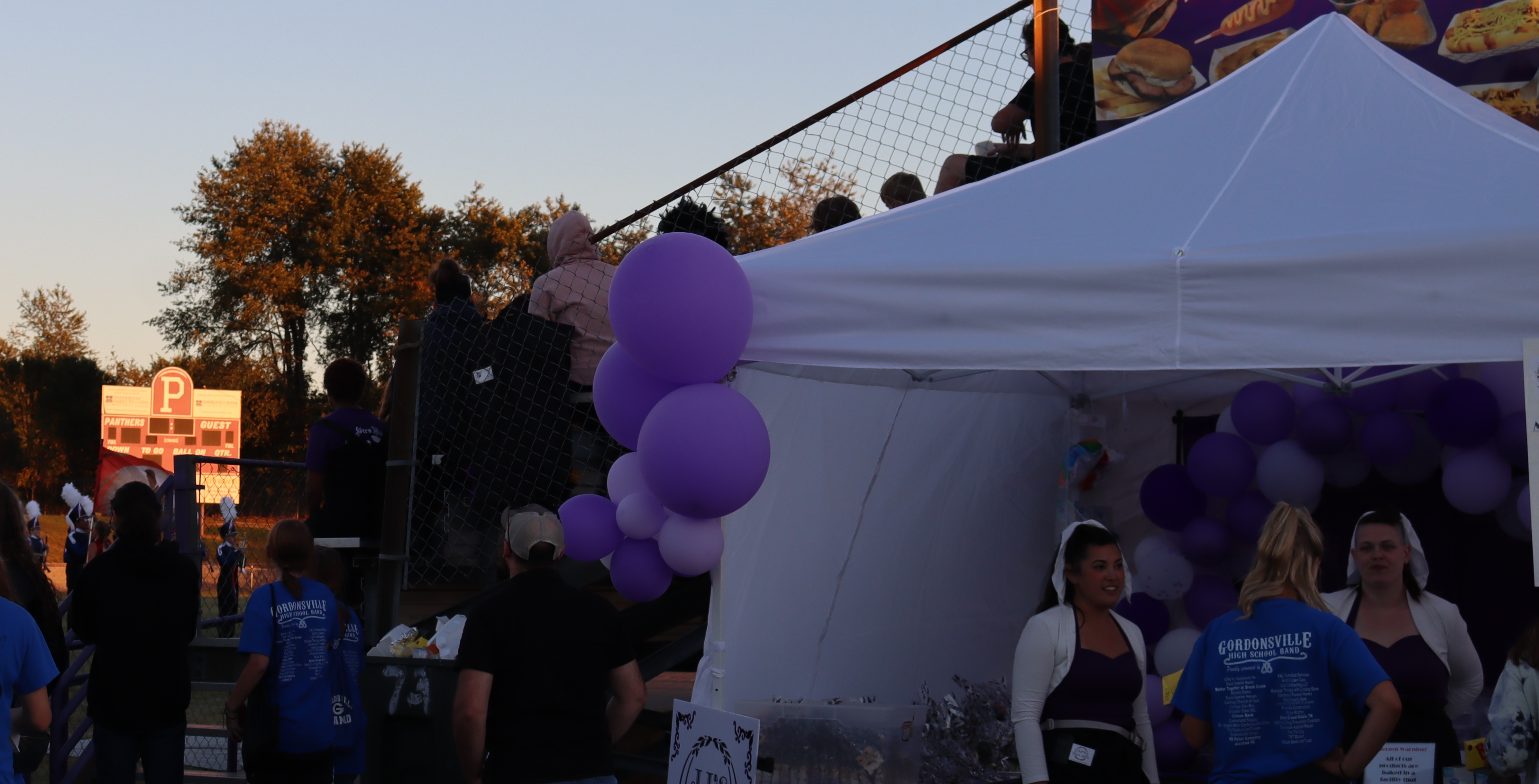 Bandapalooza